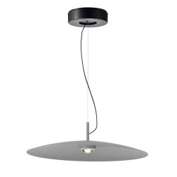 Подвесной светильник Favourite 4412-1P Lars