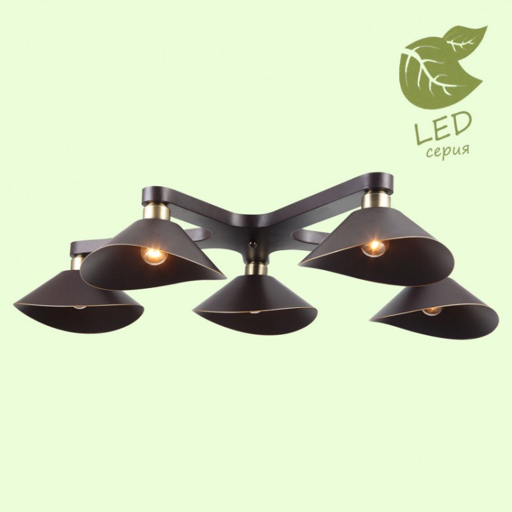 Накладная люстра Lussole GRLSP-9535 OPELIKA