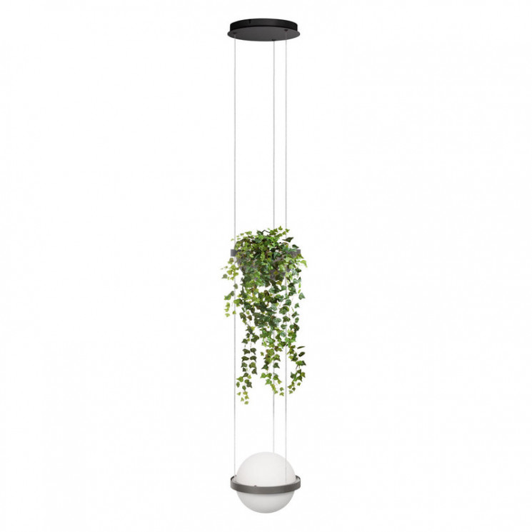 Подвесной светильник LOFT IT Jardin 10121/1P Dark grey