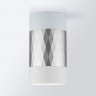 Накладной светильник Elektrostandard DLN110 GU10 белый/серебро Mizar