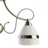 Светильник потолочный Arte lamp NOEMI A6192PL-3AB