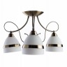 Светильник потолочный Arte lamp NOEMI A6192PL-3AB