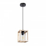 Подвесная люстра ARTE Lamp A7025SP-1BK Dublin