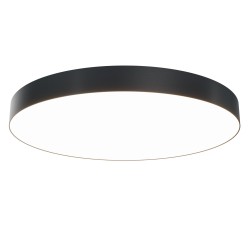 Потолочный светильник Maytoni C032CL-L96B3K Zon