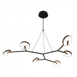 Подвесная люстра Favourite 4401-6P Paritet