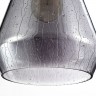 Подвесной светильник Maytoni T314-01-B Bergen