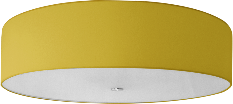 Светильник потолочный BARUSS ВS300/5C-450