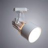 Светильник потолочный Arte lamp A6252PL-1WH LYRA для однофазной трековой системы