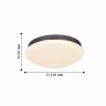 Потолочный светильник F-Promo Ledante 2468-2C