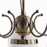 Светильник потолочный Arte lamp NOEMI A6192PL-5AB