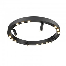 Накладная люстра Vele Luce VL7172L12