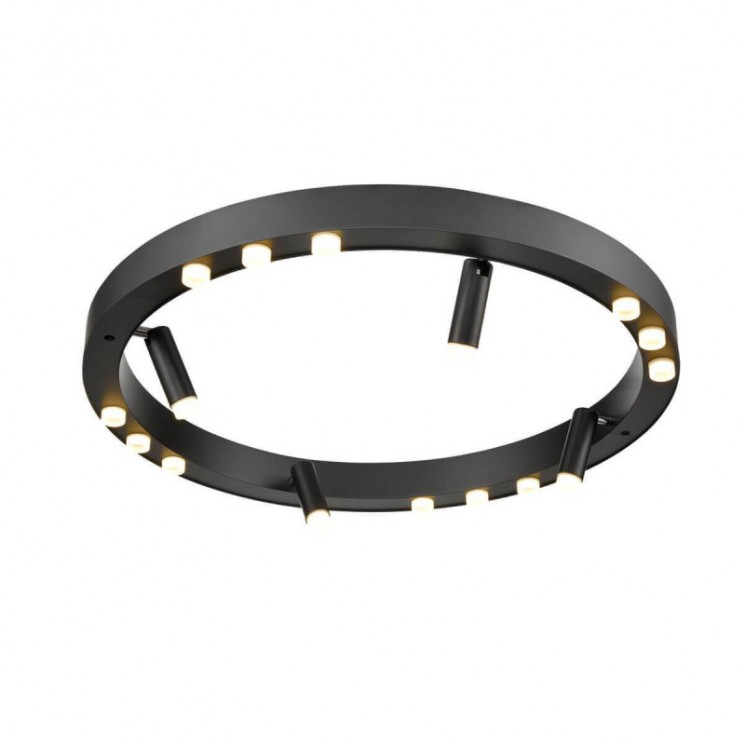 Накладная люстра Vele Luce VL7172L12