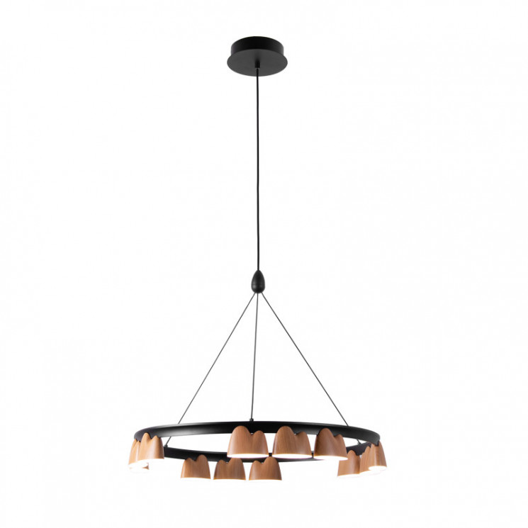 Подвесная люстра Favourite 4266-12P Interline