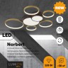 Люстра потолочная Lumion NORBERT 5256/99CL