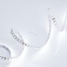 Светодиодная лента Arlight RT 2-5000 24V Cool 8K 2x (3528, 600 LED, LUX) 013747(B)