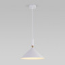 Подвесной светильник Eurosvet 50024/1 белый Nippon