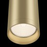 Потолочный светильник Maytoni Focus C010CL-01MG