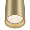 Потолочный светильник Maytoni Focus C010CL-01MG