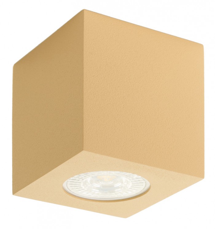 Накладной светильник Denkirs DK3010-CO