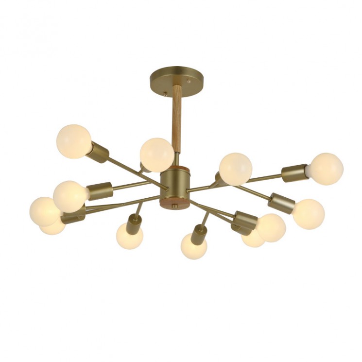 Люстра на штанге F-Promo 2587-12P Liber