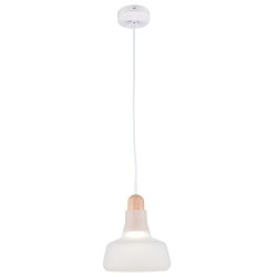 Подвесной светильник Maytoni P015PL-01W Ola