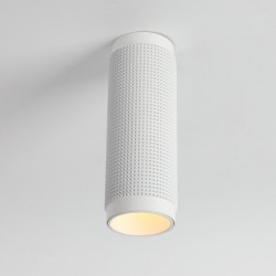 Потолочный светильник Favourite 2453-1C Kinescope