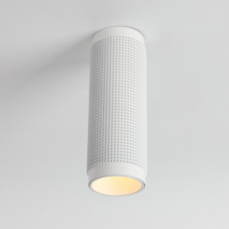 Потолочный светильник Favourite 2453-1C Kinescope