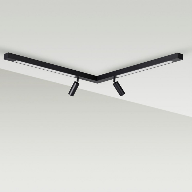 Потолочный светильник LUMION HAWK 5690/19CL