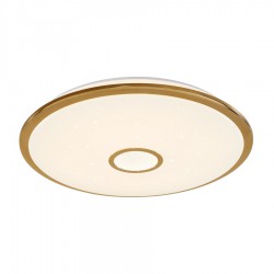 Светильник настенно-потолочный Citilux CL703102R с пультом СтарЛайт