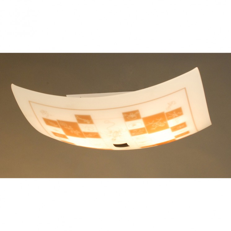 Настенно-потолочный светильник CITILUX CL932020