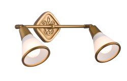 Спот Maytoni SP008-CW-02-G Luther