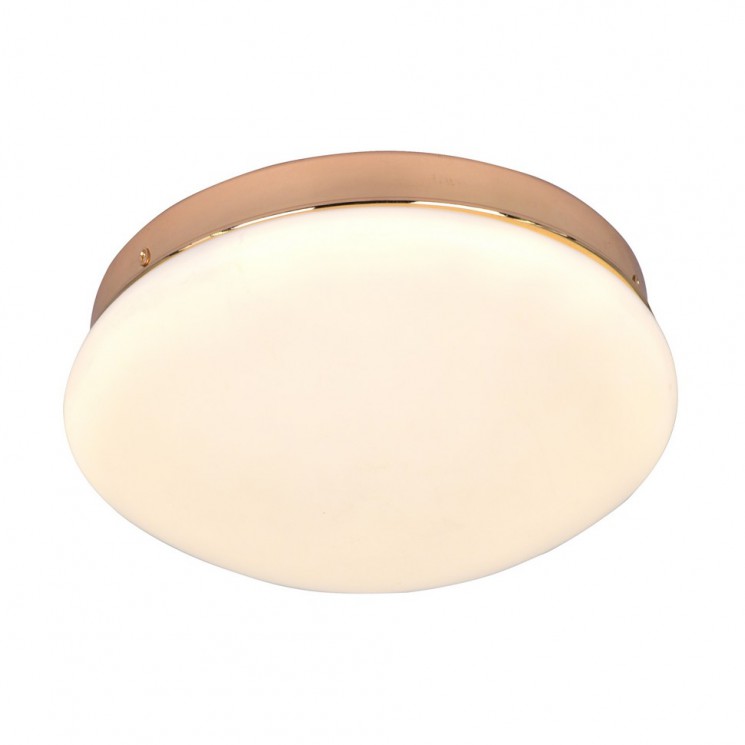 Потолочный светильник F-Promo Ledante 2465-1C