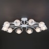 Потолочный светильник Eurosvet 70089/10 белый с серебром Camomile