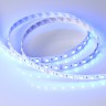 Светодиодная лента Arlight RT-B60-12mm 24V RGBW-Warm-4-in-1 19.2 W/m, IP20, 5060, 5m 019152(2)