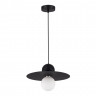 Светильник подвесной EVOLUCE Черный/Черный G9 1*5W 4000K          SLE1257-443-01