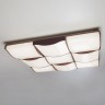 Потолочный светодиодный светильник Eurosvet 90031/9 кофе Relief