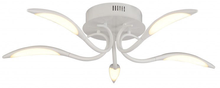 Светильник потолочный Arte lamp A9442PL-5WH MATTINO