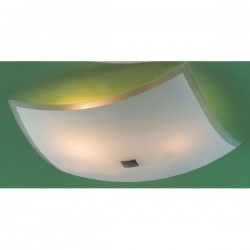 Настенно-потолочный светильник CITILUX CL932021