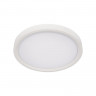 Накладной светильник LOFT IT 10227/24 White