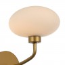 Настенный светильник Favourite 2365-1W Bindweed