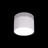 Накладной светильник LOFT IT 10179/7 White Photon