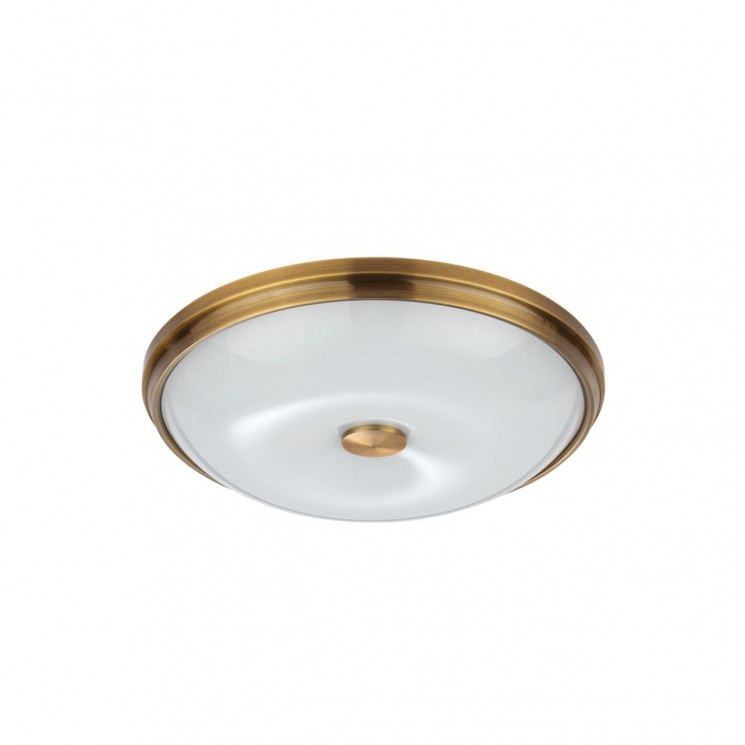 Настенно-потолочный светильник Odeon Light WALLI 4956/4