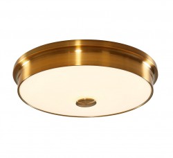 Светильник настенно-потолочный Citilux CL706232 Фостер-2