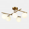 Светильник потолочный EVOLUCE Латунь/Белый E14 5*40W           SLE1195-302-05