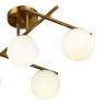 Светильник потолочный EVOLUCE Латунь/Белый E14 5*40W           SLE1195-302-05