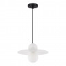 Светильник подвесной EVOLUCE Черный/Белый G9 1*5W 4000K          SLE1257-453-01