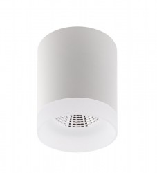 Накладной светильник Denkirs DK4010-WH