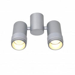 Потолочный светильник Favourite 2454-2U Kinescope