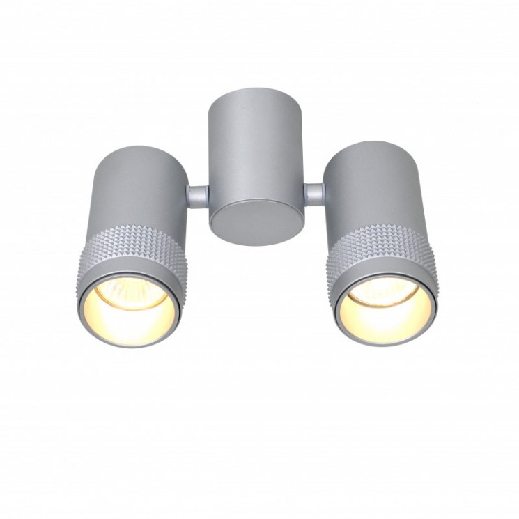 Потолочный светильник Favourite 2454-2U Kinescope