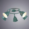 Светильник потолочный Arte lamp CAMPANA A9557PL-5BG